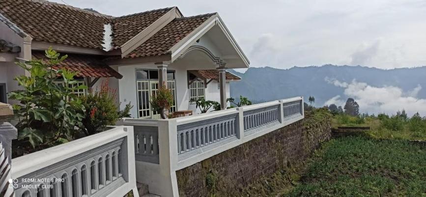 Good Karma Bromo Guesthouse Exterior photo