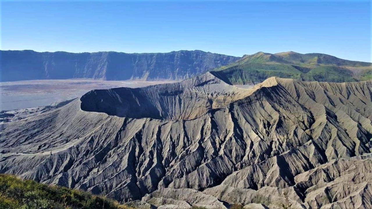 Good Karma Bromo Guesthouse Exterior photo