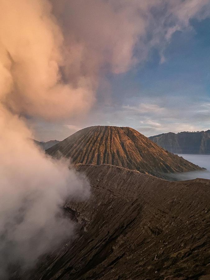 Good Karma Bromo Guesthouse Exterior photo