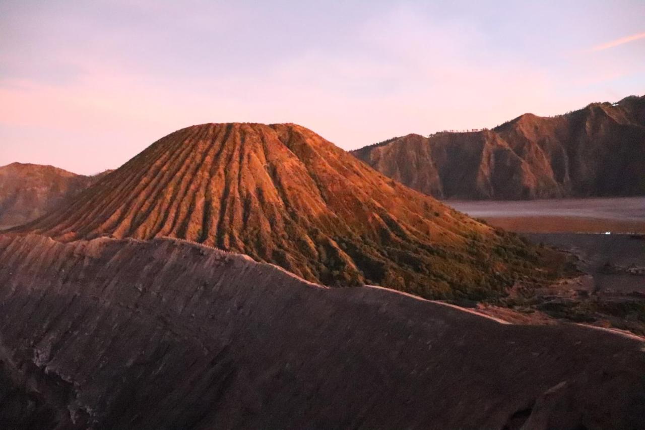 Good Karma Bromo Guesthouse Exterior photo